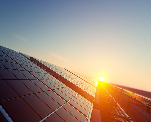 Solarmodule im Schummerlicht