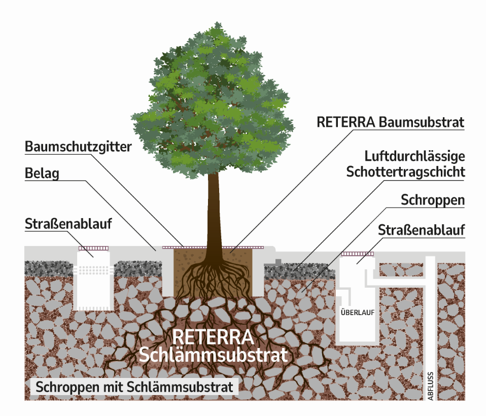Schematischer Aufbau einer Baumpflanzgrube mit RETERRA Schlämmsubstrat